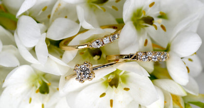 WHITE DIAMOND COLLECTION