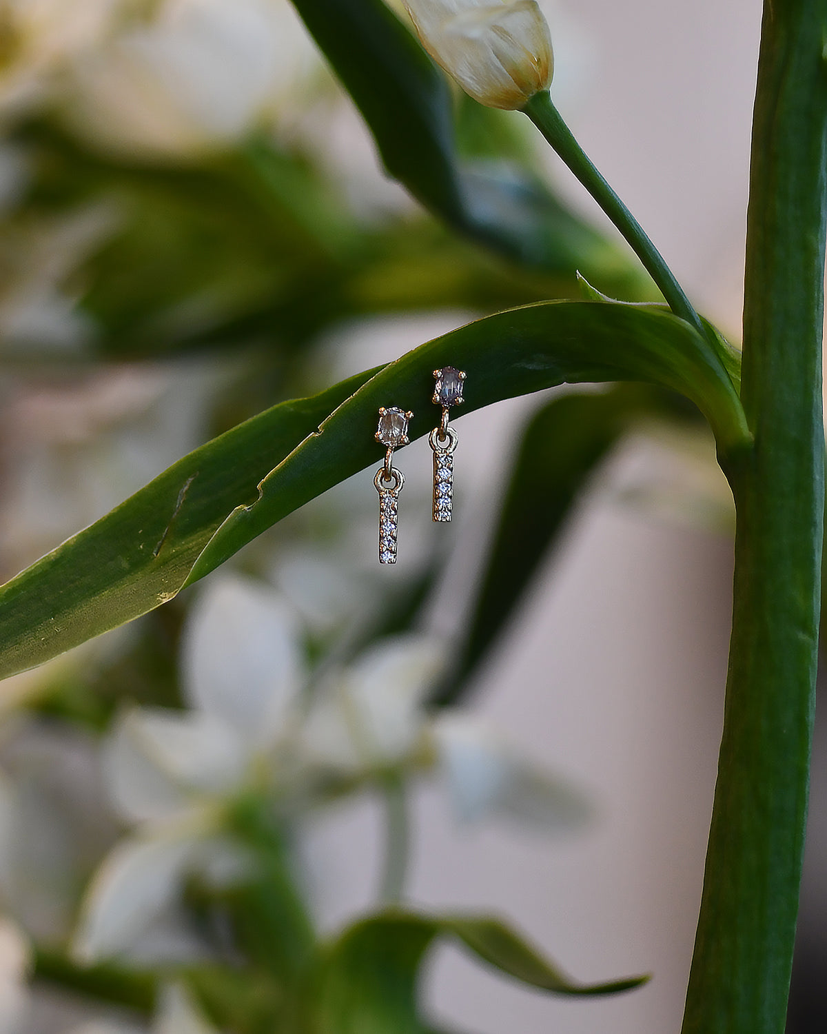 Poppy Earrings
