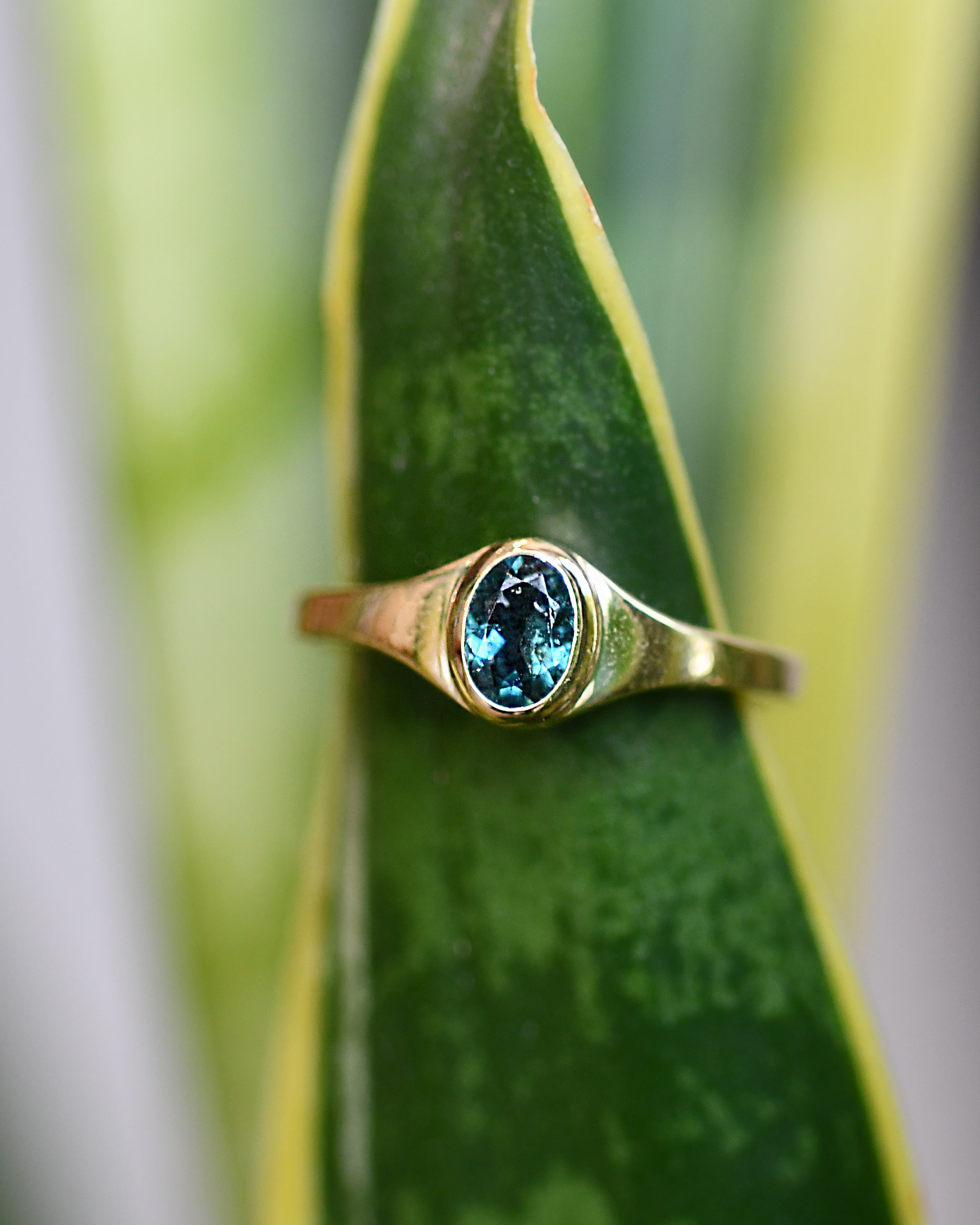 Gold ring with a blue gemstone on a green leaf background
