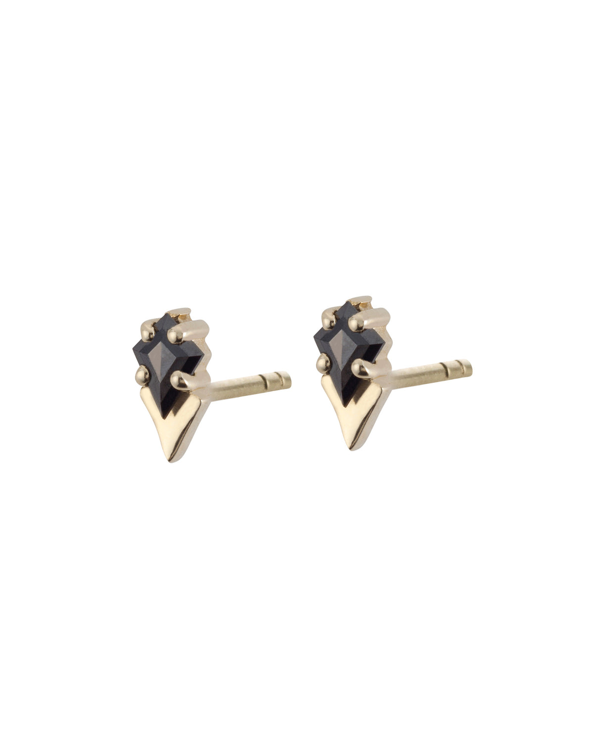 Gamma Black Diamonds Earrings